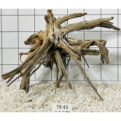 Spiderwood 43