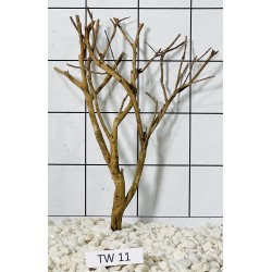 Talawawood 11
