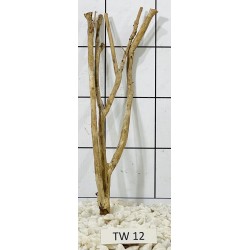 Talawawood 12