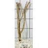 Talawawood 12
