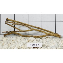 Talawawood 12