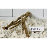 Talawawood 12