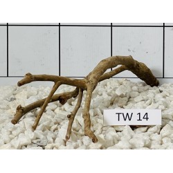 Talawawood 14