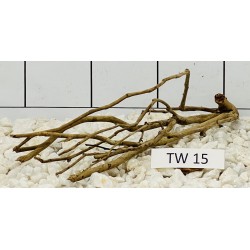 Talawawood 15