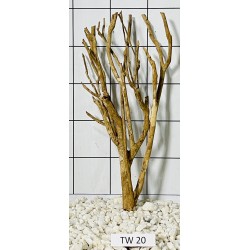 Talawawood 20